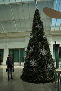 rps20161116_113954