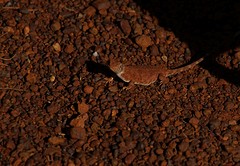 rps20161123_120312