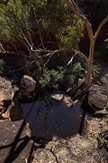 rps20161125_125914