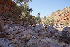 DSC02748