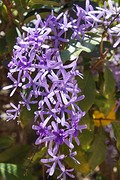 rps20161125_131905
