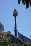 rps20161125_132054