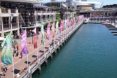 rps20161125_132258