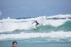 DSC03167