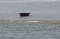 DSC05707
