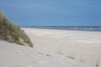 DSC05724