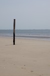 DSC05761