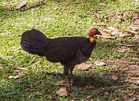 DSC09553