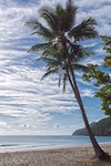 DSC09605