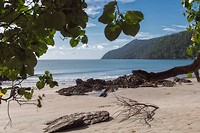 DSC09616