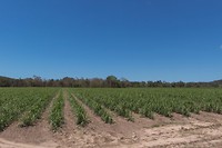DSC00065