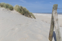 ameland