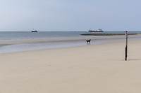 ameland