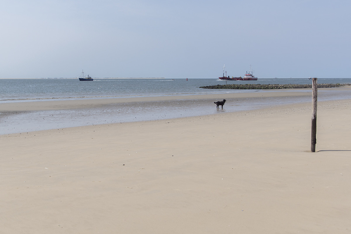 ameland