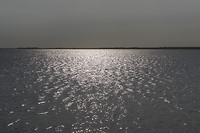 ameland