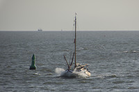 ameland