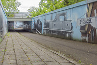 Dokkum