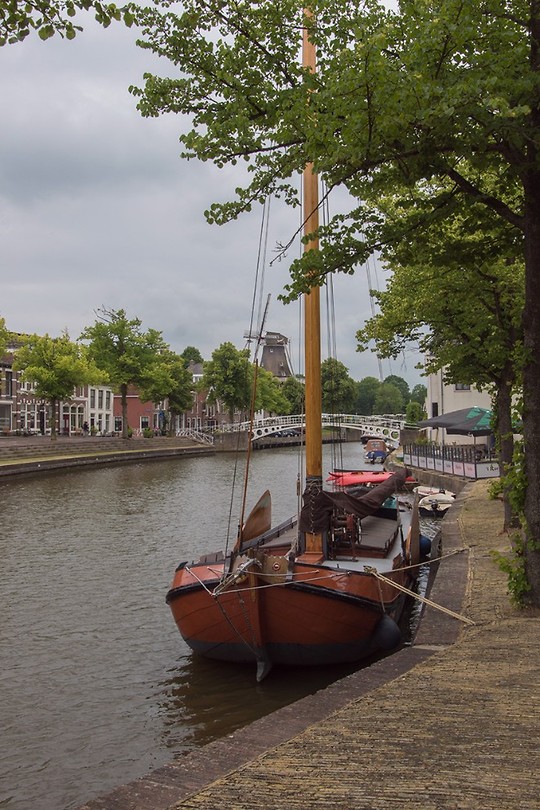 Dokkum