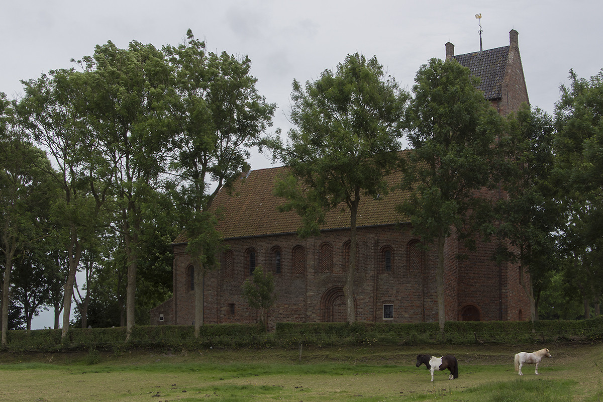 Dokkum