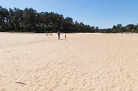 DSC02010