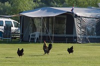 DSC02034