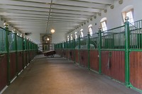 DSC02139
