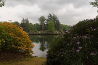 DSC02193