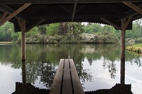 DSC02206