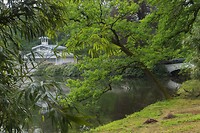 DSC02211