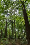 DSC02224