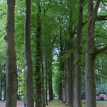 DSC02258