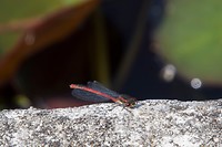 DSC02282