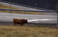 Andorra