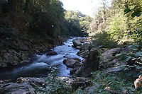 Montoulieu