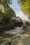DSC00064 b