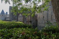 DSC00089 b