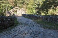 DSC00022 b