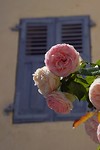 DSC00198