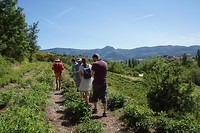 DSC00219