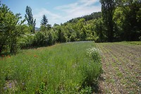 DSC00221