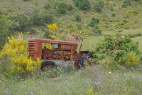 DSC00009