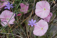 DSC00057