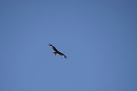 DSC00056