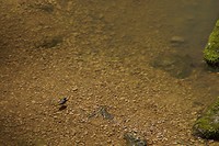DSC00077