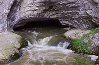 DSC00100