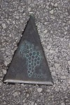 DSC00017