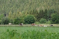DSC00032