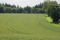 DSC00017