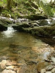 20190625_123016