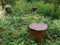 20190625_123826